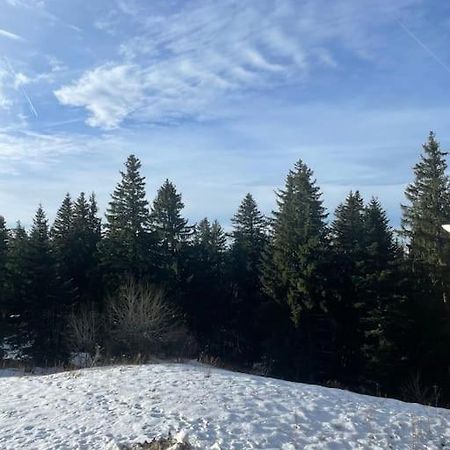 Chamrousse A 50M Des Pistes Appart 4/6 Екстериор снимка