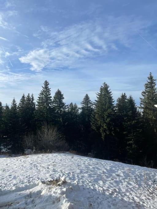 Chamrousse A 50M Des Pistes Appart 4/6 Екстериор снимка